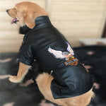 Born Wild Large Dog Leather Biker Jacket - TheGlamPets