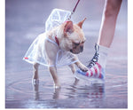 Light Transparent Dog Raincoat For Small Dogs - TheGlamPets