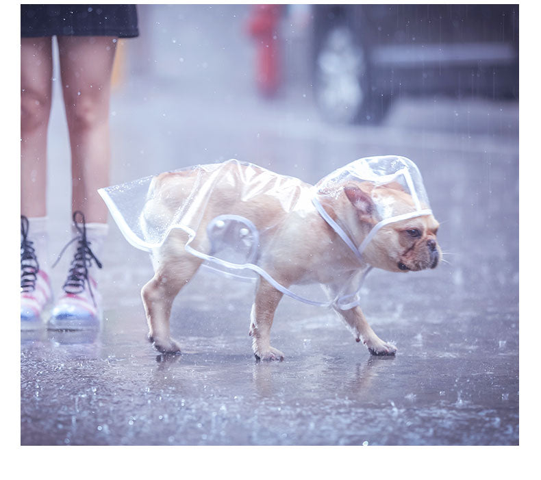 Light Transparent Dog Raincoat For Small Dogs - TheGlamPets