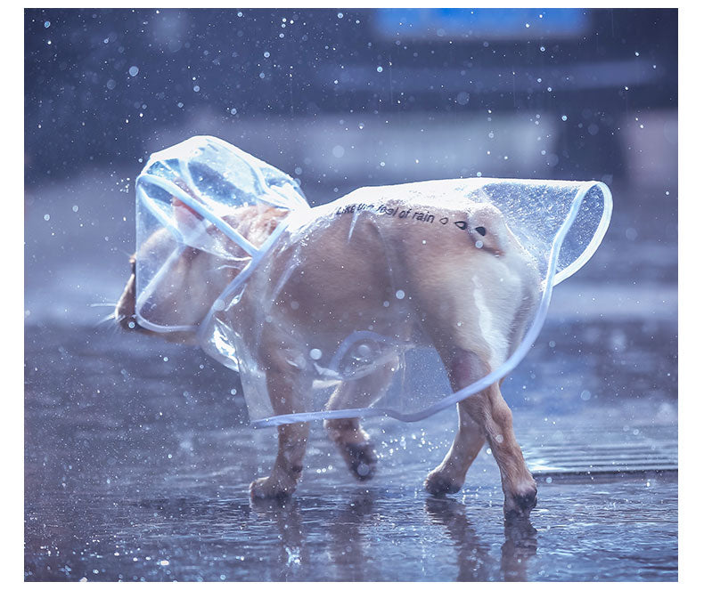 Light Transparent Dog Raincoat For Small Dogs - TheGlamPets