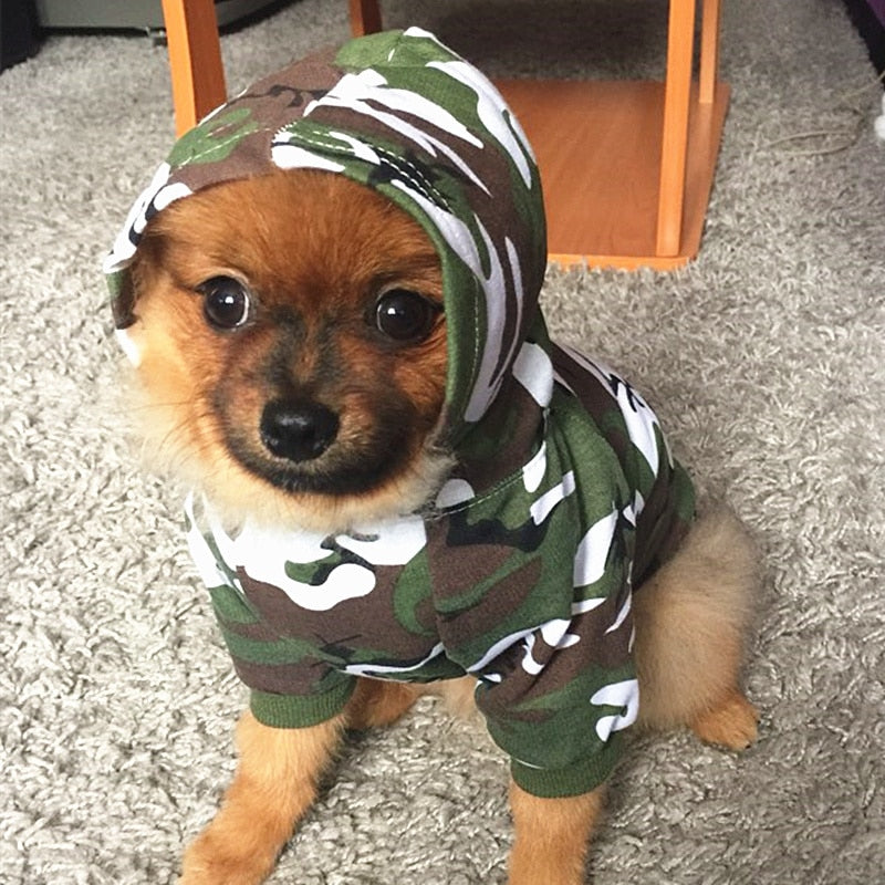 Camo Dog Hoodie - TheGlamPets