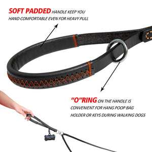 Stunning Leather Double Dog Leash - TheGlamPets