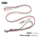 Magnificent Leather Dog Training Leash With 2 Handles - TheGlamPets