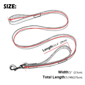 Magnificent Leather Dog Training Leash With 2 Handles - TheGlamPets