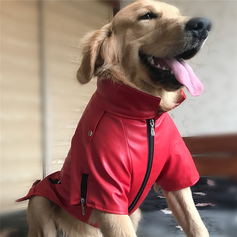 Biker Babe Dog Jacket (Greyhound Only)