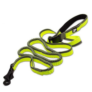 Waist-Worn Adjustable Bungee Dog Leash - TheGlamPets