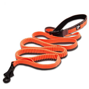 Waist-Worn Adjustable Bungee Dog Leash - TheGlamPets