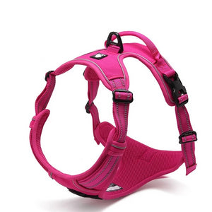 Luxury Harness For Dogs With Leash Set