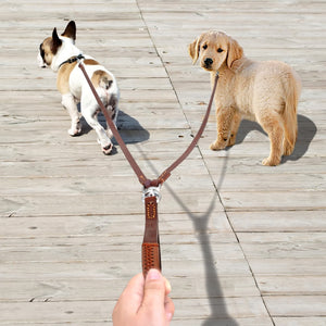 Stunning Leather Double Dog Leash - TheGlamPets