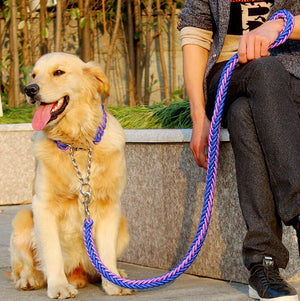 Stylish Double-Strand Rope Dog Leash and Collar - TheGlamPets