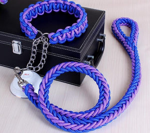 Stylish Double-Strand Rope Dog Leash and Collar - TheGlamPets