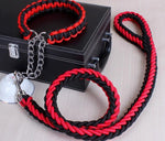 Stylish Double-Strand Rope Dog Leash and Collar - TheGlamPets