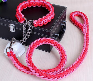 Stylish Double-Strand Rope Dog Leash and Collar - TheGlamPets