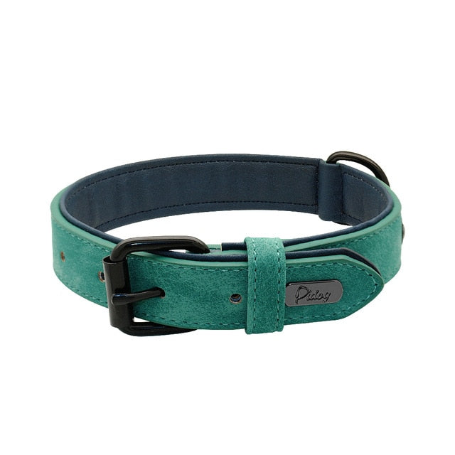 Leather Padded Premium Dog Collars - TheGlamPets