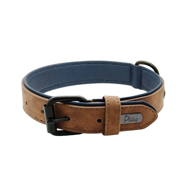 Leather Padded Premium Dog Collars - TheGlamPets