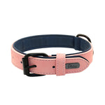 Leather Padded Premium Dog Collars - TheGlamPets