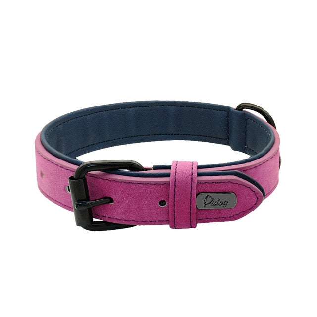 Leather Padded Premium Dog Collars - TheGlamPets