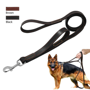 Magnificent Leather Dog Training Leash With 2 Handles - TheGlamPets