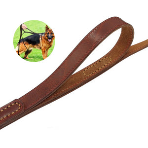 Magnificent Leather Dog Training Leash With 2 Handles - TheGlamPets