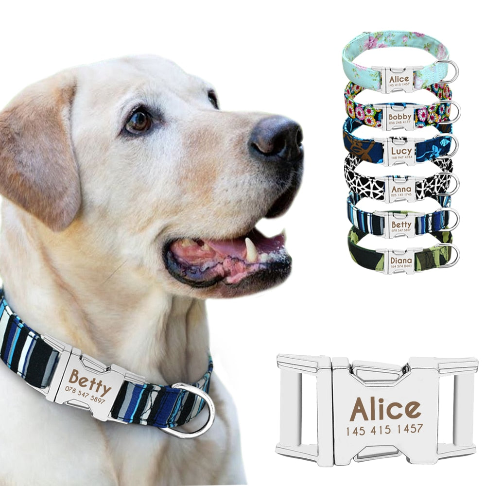 Stunning Personalized Nylon Dog Collar - TheGlamPets