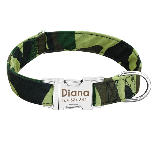 Stunning Personalized Nylon Dog Collar - TheGlamPets