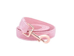 Luxury Pink Glam Velvet Dog Collar and Leash - TheGlamPets