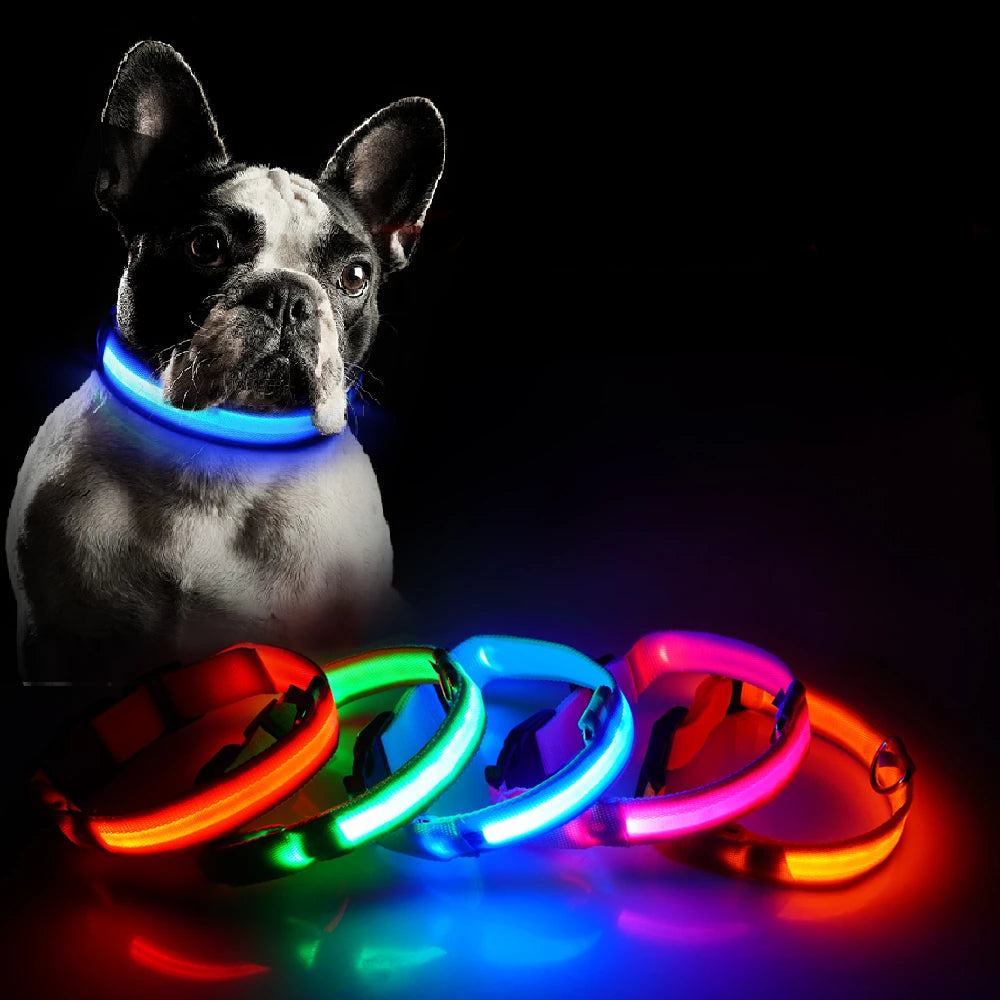 USB Rechargeable LED Dog Safety Collar - TheGlamPets