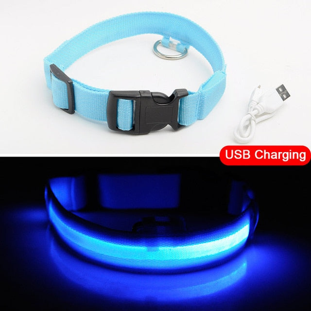 USB Rechargeable LED Dog Safety Collar - TheGlamPets