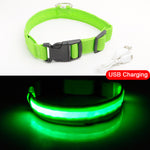 USB Rechargeable LED Dog Safety Collar - TheGlamPets