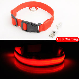 USB Rechargeable LED Dog Safety Collar - TheGlamPets