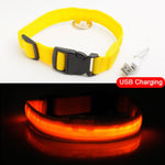 USB Rechargeable LED Dog Safety Collar - TheGlamPets