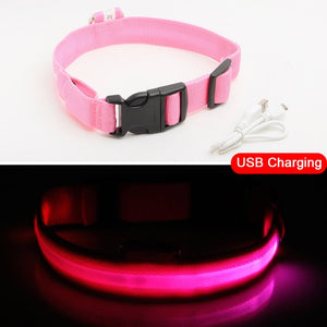 USB Rechargeable LED Dog Safety Collar - TheGlamPets