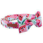 Dapper Watermelon Pink Dog Bow Tie Collar and Leash - TheGlamPets