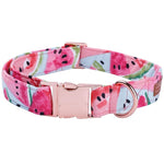 Dapper Watermelon Pink Dog Bow Tie Collar and Leash - TheGlamPets